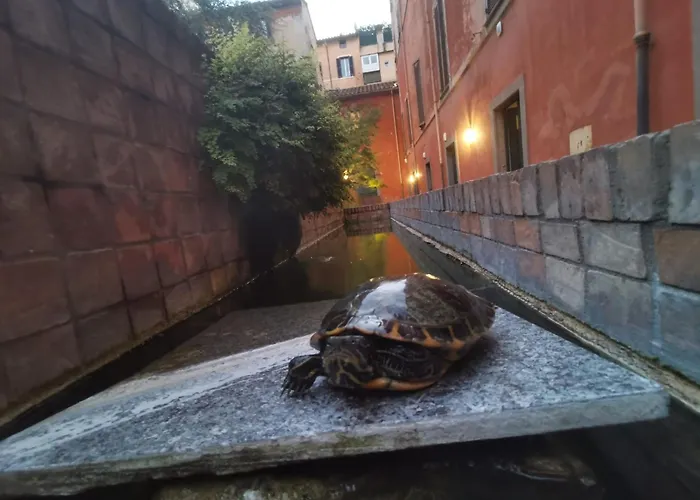 La Dolce Trevi Apartamento Roma